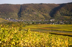 Senheim Unsere Gemeinde – Senheim