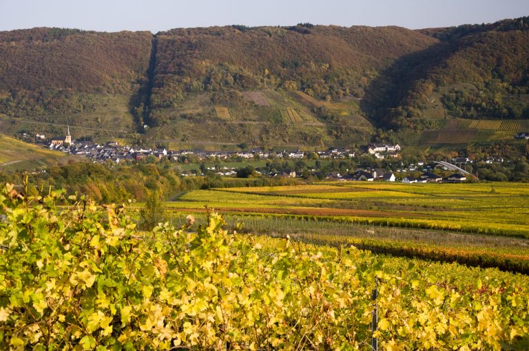 Senheim Unsere Gemeinde – Senheim