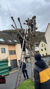 f0406528-bbd9-4dc9-b079-5a9b8602aab6 (002)